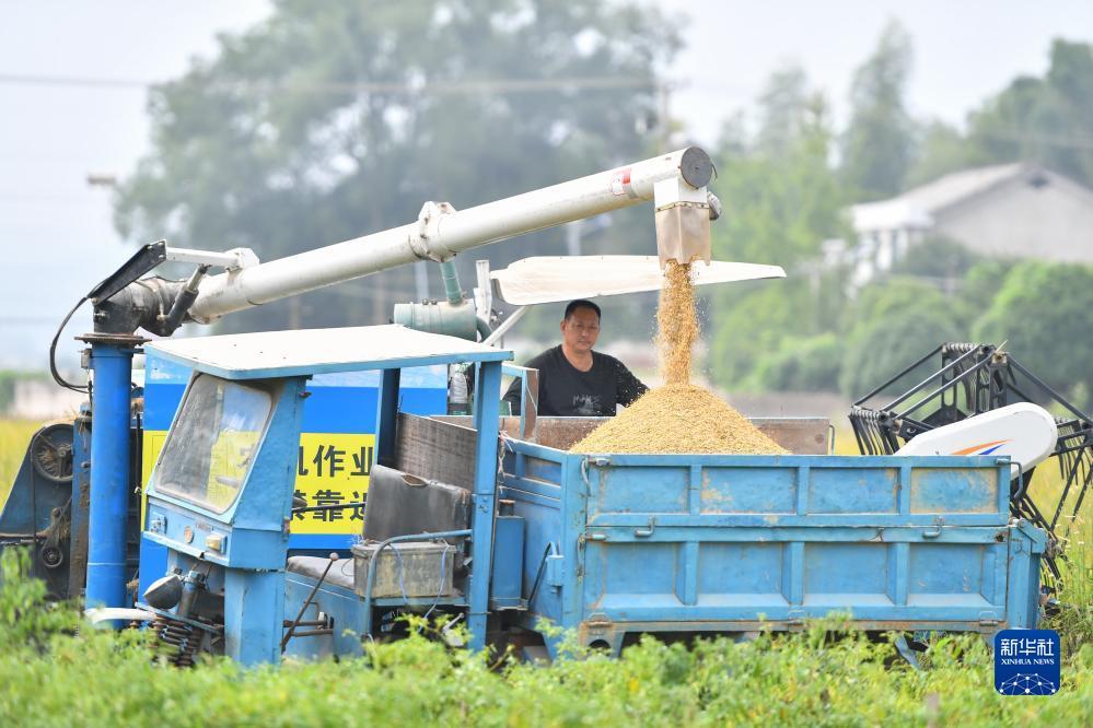 广东麻将推倒胡下载安装
